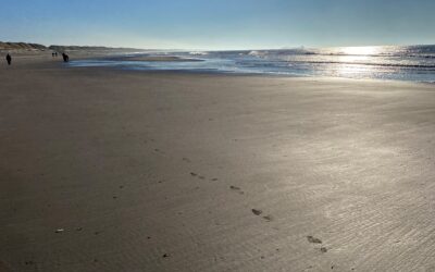 WORKSHOP – Forløb med 3 aftener i Hvide Sande